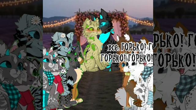 Свадьба💖 смотреть онлайн