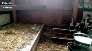 Сделали бортик в сарае для соломы