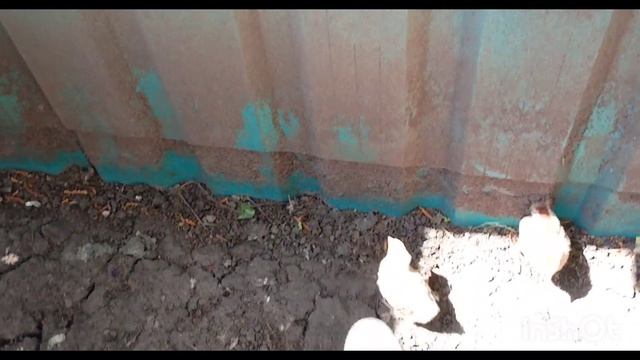 21/05 2026 /один день из Галюниной жизни /как живут в русской деревне..