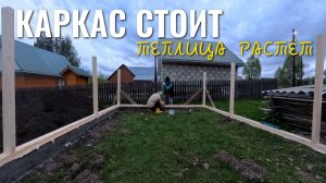 ТЕПЛИЦА. ЧАСТЬ 3 🔥 КАРКАСНЫЕ СТЕНЫ ГОТОВЫ ✅