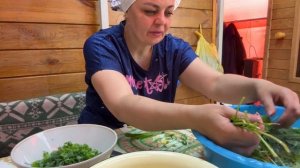 Купили РОЗЫ__в саду ВАРЮ СУП __высадили перец