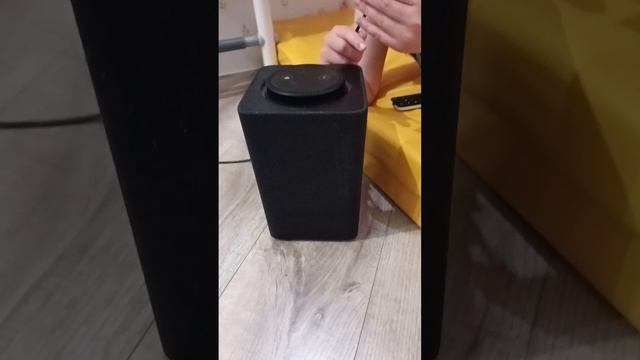 1 видео с алисой.