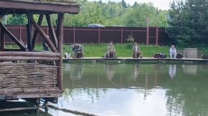 Зарыбление. Активные поимки форели продолжаются !