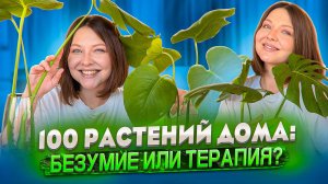 РАСТЕНИЯ ДОМА: С ЧЕГО НАЧАТЬ