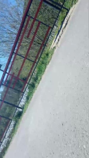 на гулянке