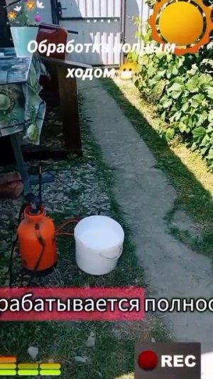 Животные-приколы и не только😉😅