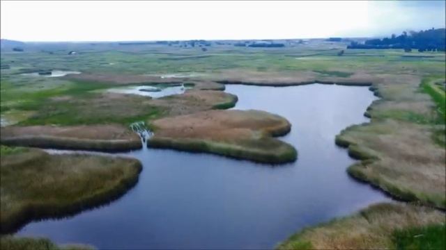Mythical Creatures of The Southern U.S. - Documentary-854x480-avc1-mp4a смотреть онлайн