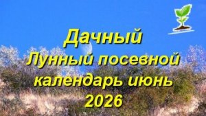 Лунный посевной календарь на июнь 2026 года для садоводов, огородников и цветоводов