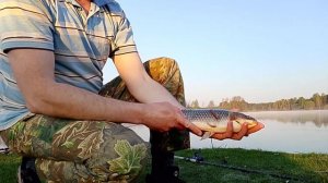 Реванш по карасю, всё-таки дождался клёва.