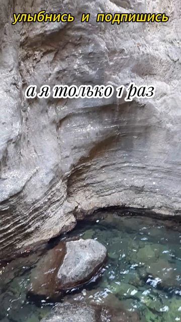 сюрприз