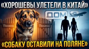 💕 Сергей и Евгения Хорошевы улетели в Китай, оставив собаку Кристине Лясковец | Новости Дом 2