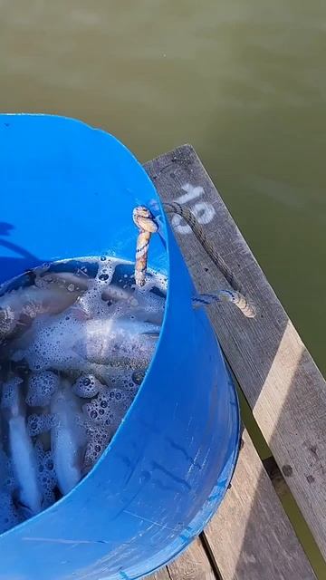 запуск23.05.mp4