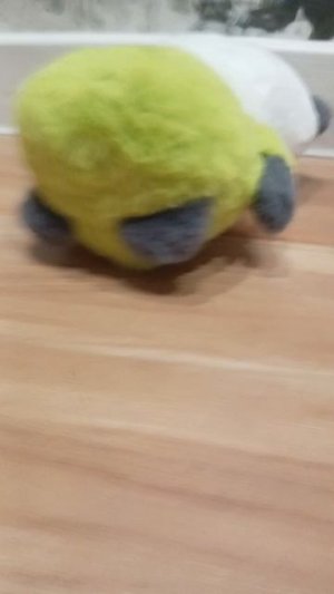 木火竹 чего?
