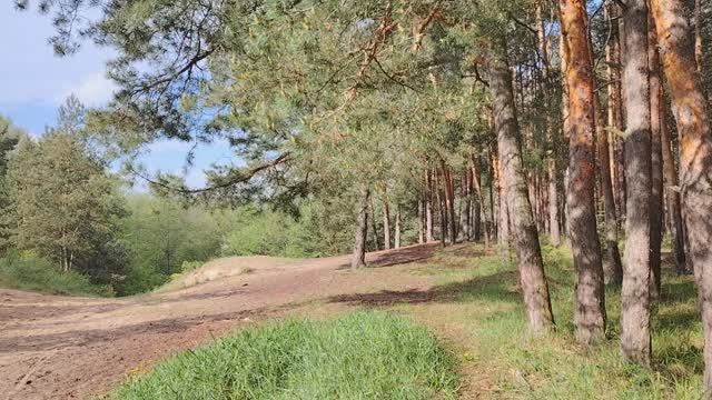 Некоторые проблемы современной молодёжи смотреть онлайн