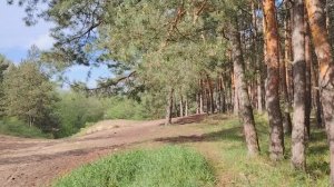 Некоторые проблемы современной молодёжи