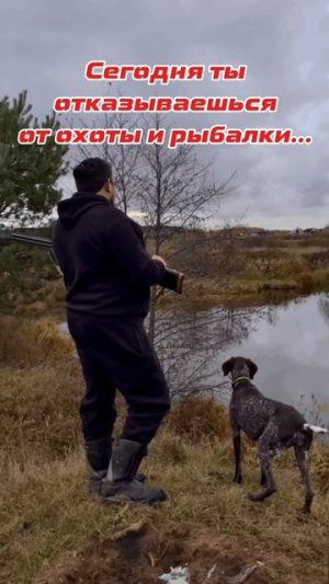 Сегодня отказываешься от охоты и рыбалки? А что тогда завтра? #мужская каморка #охота #юмор