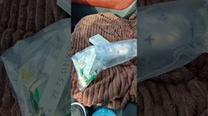 Обработала промысловых собак пипетками от клещей и полечиила ушко одной