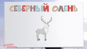 🍿 ПОЛЯРНЫЕ ЖИВОТНЫЕ! Учим животных - развивающие мультики для детей на русском