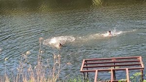 Узбеки прохлаждаются. Умарились бедолаги. 🏊🏊😄