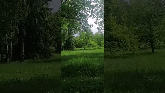 Прогулка Царское село +21
