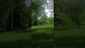 Прогулка Царское село +21