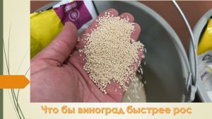 Вношу азот