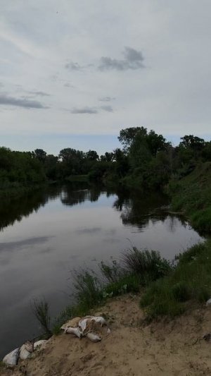 Судак горячего копчения