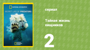 Тайная жизнь хищников 2 серия (документальный сериал, 2013)