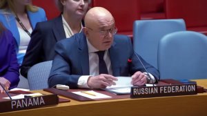 «Вы не считаете наших детей людьми» — Небензя — европейцам, проигнорировавшим жертв в Старобельске