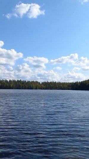 Иллюзия