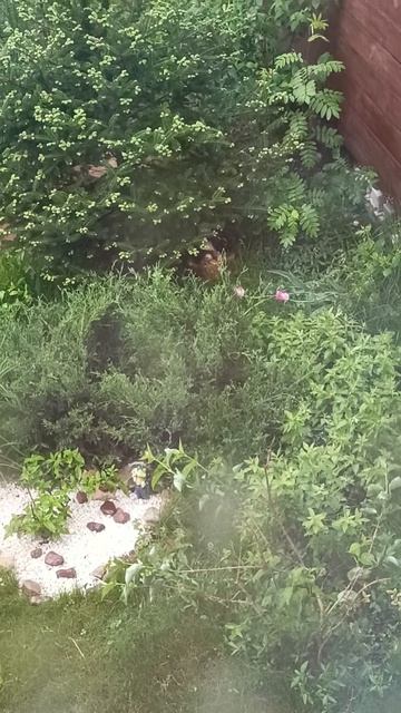 Жара ☀️ ушла после ливня ☔ и грозы смотреть онлайн