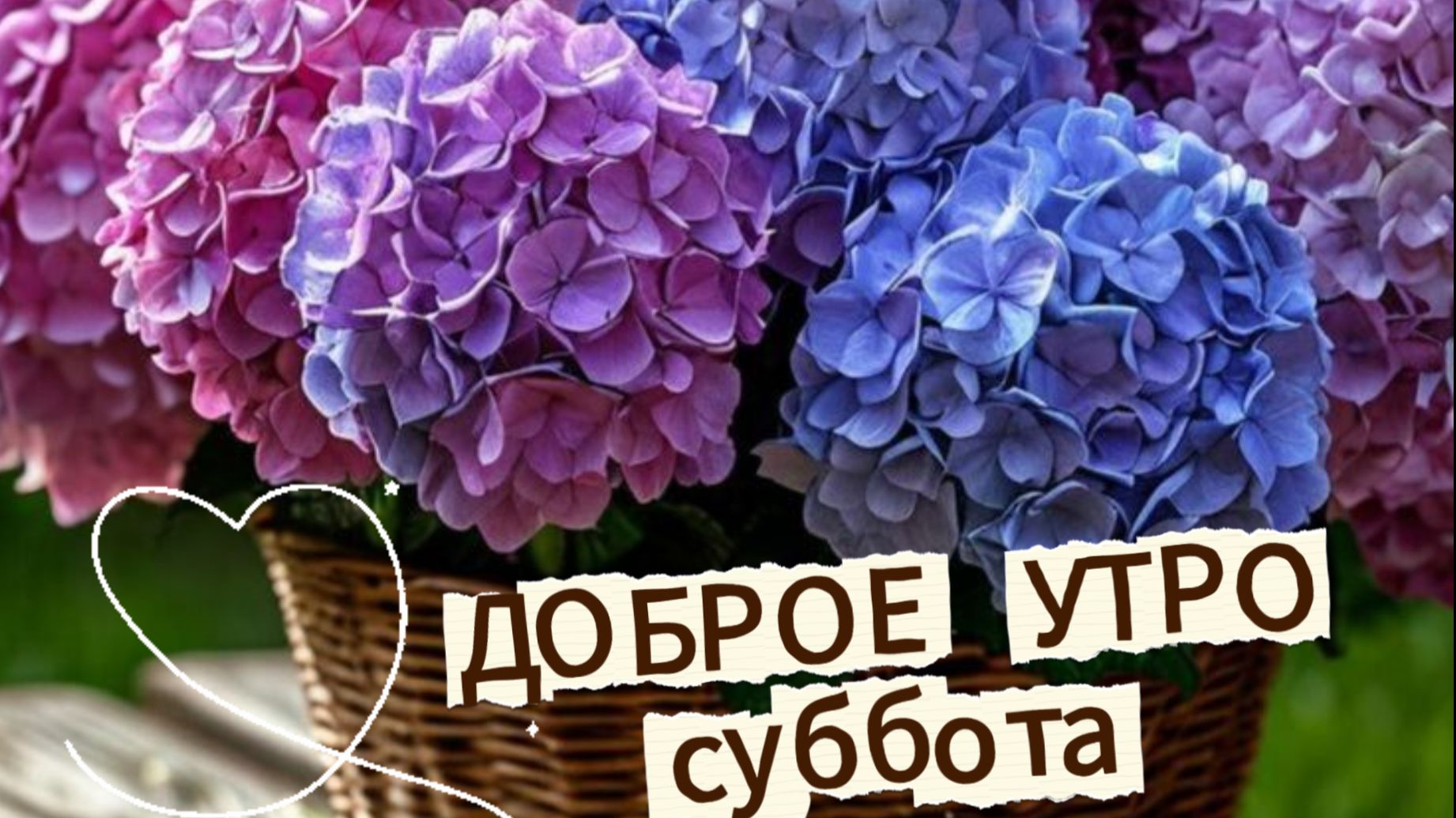 Доброе субботнее утро: бодрая открытка с пожеланиями для отличных выходных | Домохозяйка