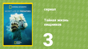 Тайная жизнь хищников 3 серия (документальный сериал, 2013)