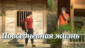 Сбор баклажанов — на продажу Садоводство, выращивание овощей, повседневная жизнь