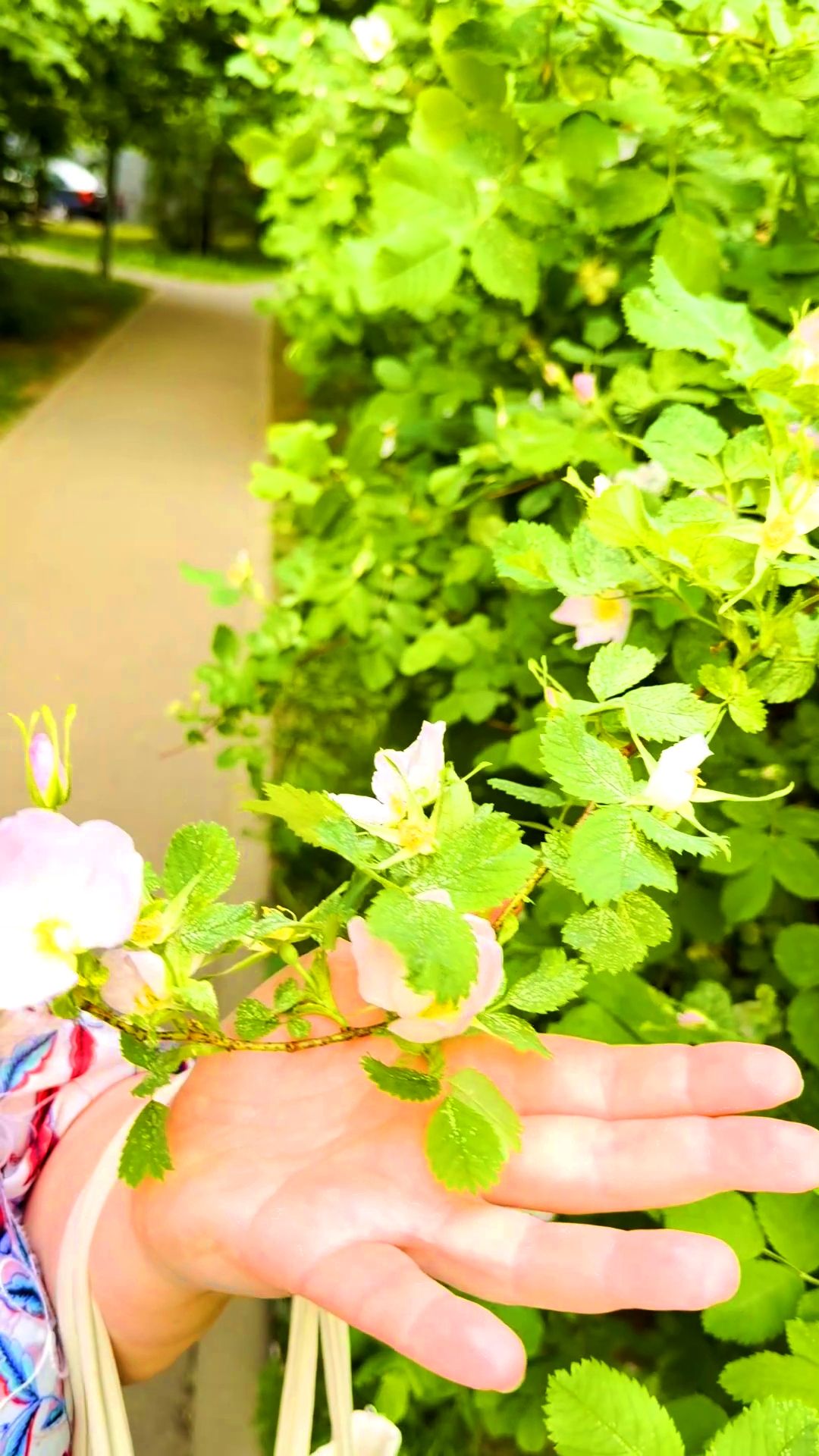 НАСЛАЖДАЙСЯ🌸 смотреть онлайн