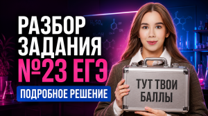 Задание №23 | Полный разбор для ЕГЭ по химии | Умскул