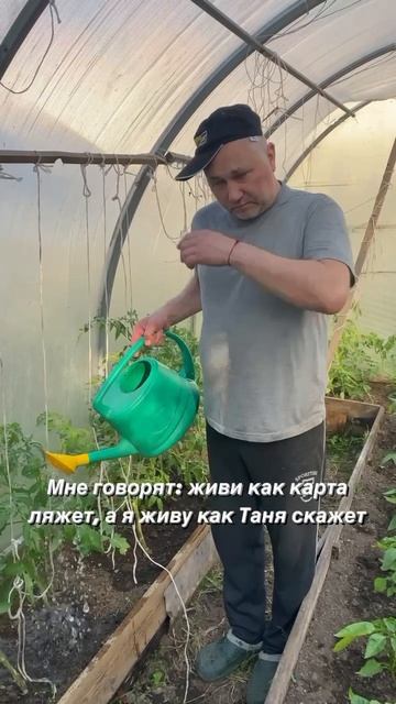 Жиза?😂