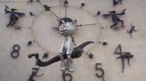 Кот с улицы Лизюкова в Воронеже