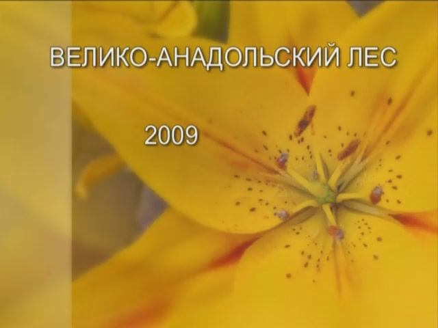 Г В-А ЛЕС ю.семья.