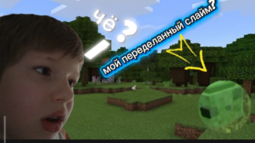 😱Я В ПЕРВЫЙ РАЗ ПЕРЕДЕЛАЛ МОБОВ В МАЙНКРАФТ !!!