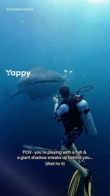 Случаи в подводном мире