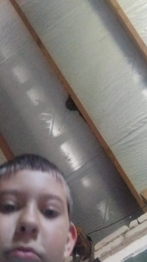 Макс