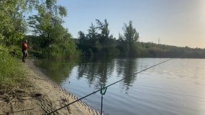Как мы рыбу кормили