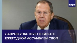 Лавров участвует в работе ежегодной ассамблеи СВОП