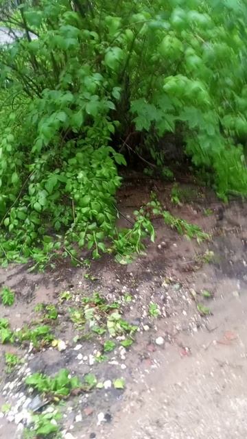 зря смотреть онлайн