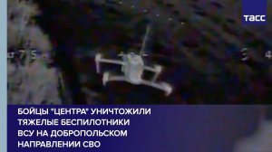 Бойцы «Центра» уничтожили тяжелые беспилотники ВСУ на добропольском направлении СВО