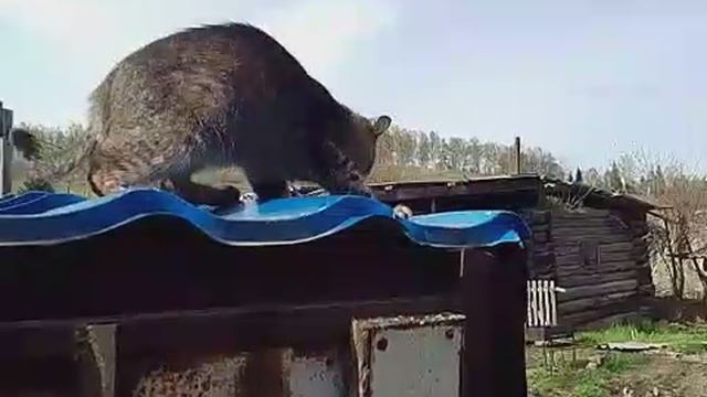 Погода налаживается.👍 🚀