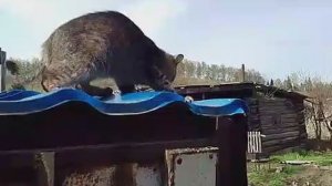 Погода налаживается.👍 🚀