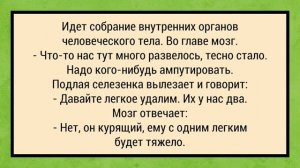#анекдоты #юмор #Вирус #Тренды #Развлечения #Смешно #смешныеанекдоты