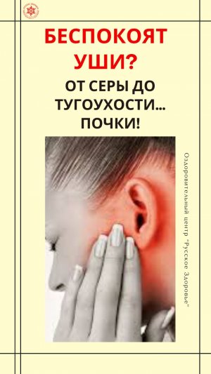 Беспокоят уши? От серы до тугоухости… Почки!